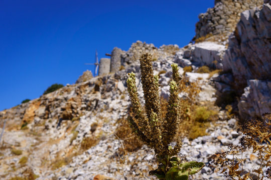 Ruins of encient windmills built in 15th century.