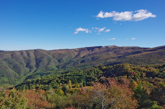 Casentino and Appennines from Pratomagno, autum foliage.