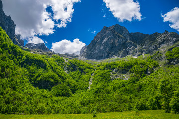 Naklejka premium Scenic forest and meadows among the high snow-capped mountains.