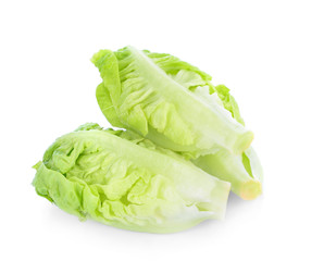 Baby Cos lettuce isolated on white background