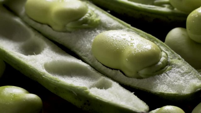 Extreme close up of rotating, sweating fava beans in their spongy pods.