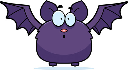 Surprised Little Bat