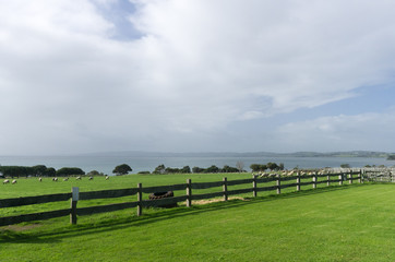 Fototapeta premium Churchill Island farm