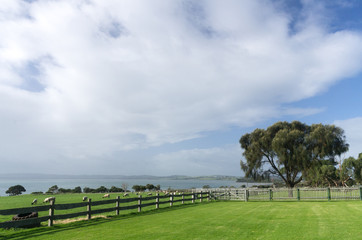 Fototapeta premium Churchill Island farm view