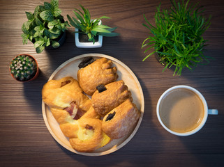 Coffee and Bread for breakfast with cactus with alarm clock placed on the side with sunlight.