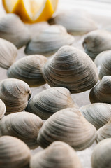 An assortment of raw clams on ice garnished with lemon
