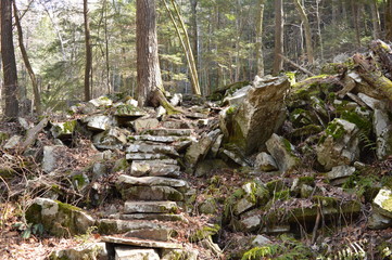 Stone stairway in the woods