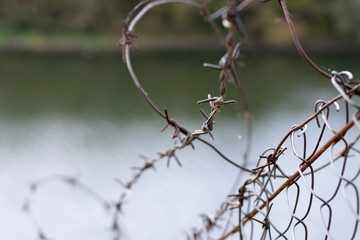 Barbed wire in a web on the background of a river, close up