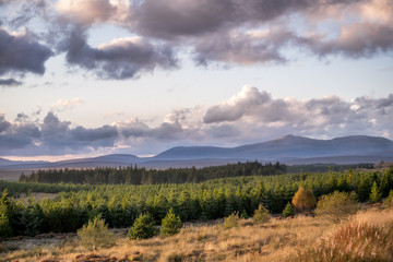 Golden Light over the Scotish Highlands