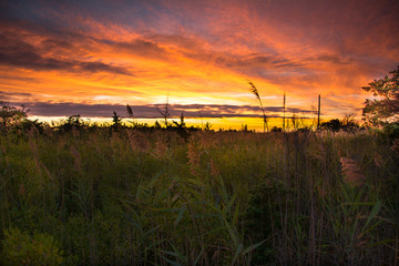 Sunset over the meadow