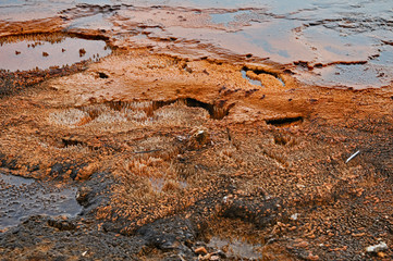 Hydrothermal in Yellowstone