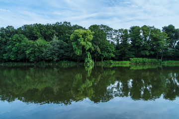 東京　石神井公園９