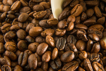  roasted coffee beans close up image macro