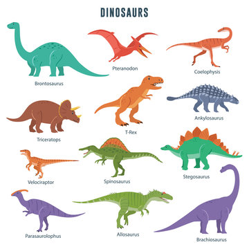 Set of dinosaurs including T-rex, Brontosaurus, Triceratops, Velociraptor, Pteranodon, Allosaurus, etc. Isolated on white