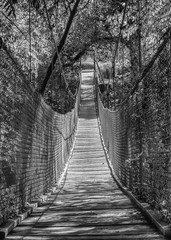 Fototapeta premium suspension bridge