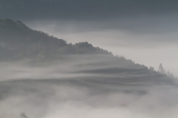 Morning Mist