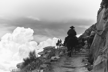 Riding horses out of the Grand Canyon in Arizona