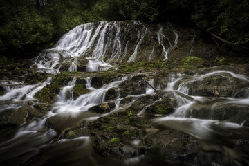 Fototapeta premium Sweeping Love