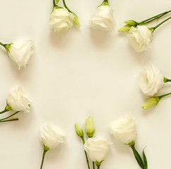 Obraz na płótnie Canvas Frame of white flowers on white background. Top view. Copy space