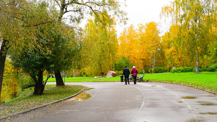 Autumn season