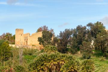 Fototapeta na wymiar Gate Bab Al Amer in Fes. Morocco