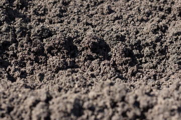A strip of black earth close-up background.