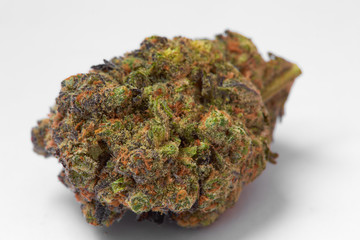 Close up of prescription medical marijuana strain flower Gelato isolated on white background