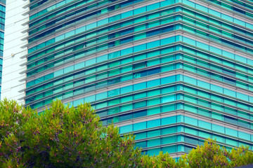 Fototapeta na wymiar Modern building.Modern office building with facade of glass