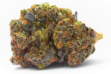 Close up of prescription medical marijuana strain flower Gelato isolated on white background