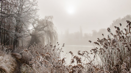 Winter morning