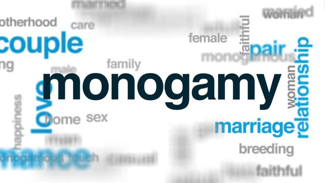 Monogamy animated word cloud, text design animation.