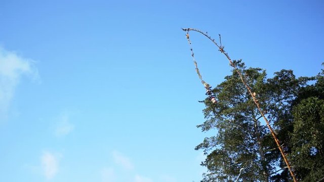Penjor is swaying in the wind on the  blue sky background. Penjor is the decorative bamboo pole which is traditionally estableshed during religious festivals on Bali, Indonesia