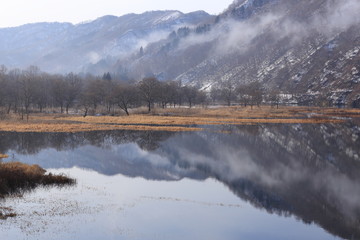 湿原の冬の朝　荒沢湖　山形県　Arasawa Lake / Yamagata, Japan	
