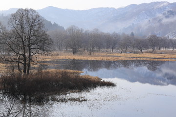Fototapeta premium 湿原の冬の朝 荒沢湖 山形県 Arasawa Lake / Yamagata, Japan
