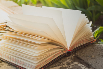 open notebook on a green background