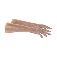 hands of the old man isolated on a white. 3D illustration