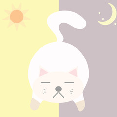 Lazy fat cat sleep all day all night