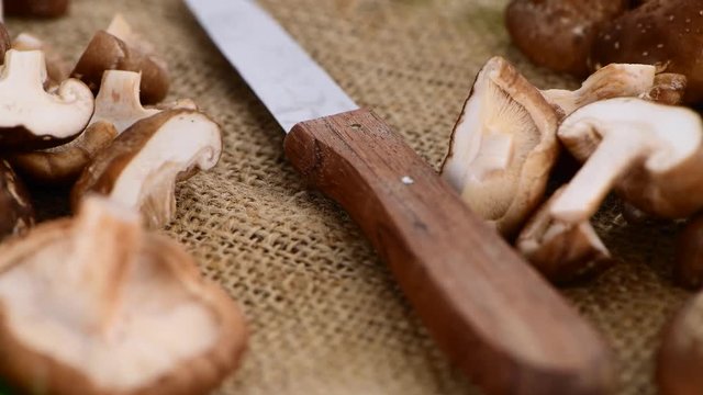 Rotating Shiitake mushrooms (seamless loopable 4K UHD footage)