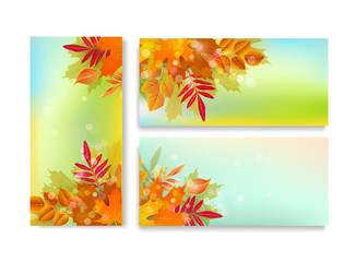 Naklejka na ściany i meble Vector set. Banner, template with autumn, colorful leaves. Element for modern design
