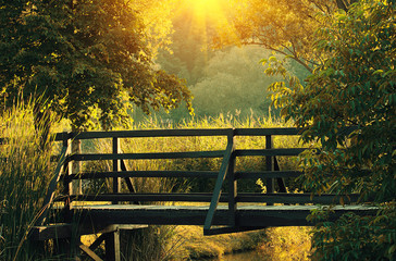 Plakat Wooden bridge in autumn forest