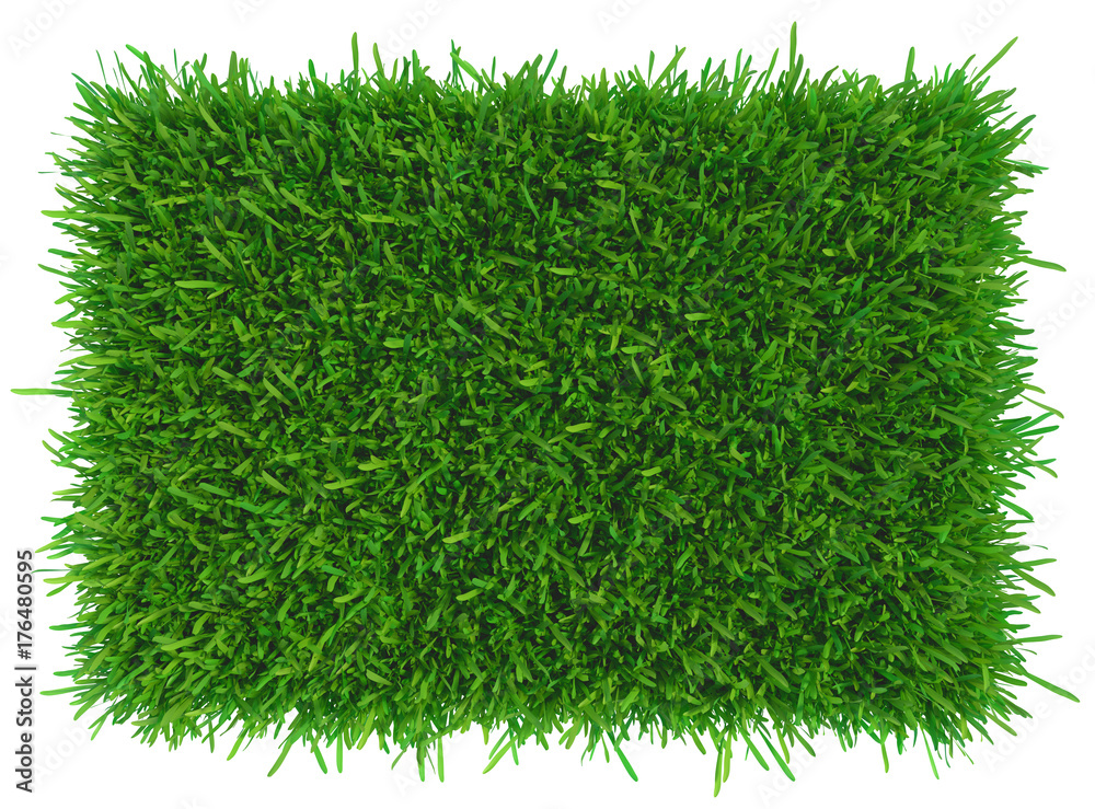 Sticker green grass. natural background texture. high resolution. 3d rendering