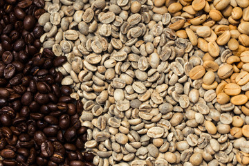 various type of arabica coffee been roasted multiple colors and stage of roast timing