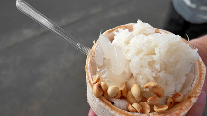 Sweet Coconut Ice cream with Sticky Rice and Peanuts Toppings in Coconut Shell