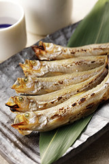 ししゃも　Capelin