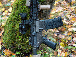 Firearms In The Fall Rainy Forest