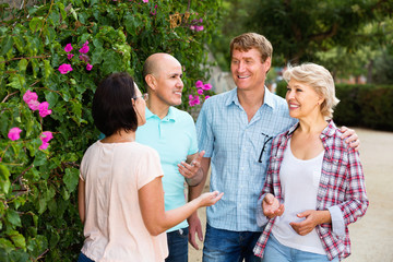  Portrait of mature cheerful males and females talking outdoors