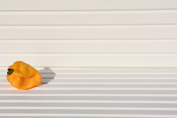 photography image of bright yellow scotch bonnet chilli on bright white wood background taken on South coast England UK