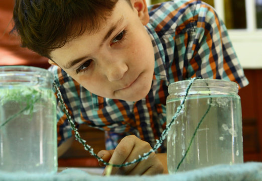 keen preteen boy grow salt crystal watch crystallization from solution to the rope