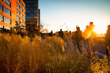 New York City's High Line Park on the west side of Manhattan from 14th St. to 34th St.