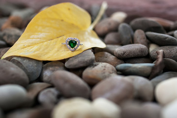 stylish women jewelry